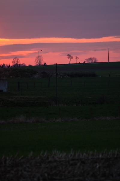 20140315 Mg 2870lightroomemail Gro 16792348857 O